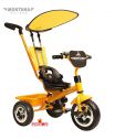 Велосипед Lexus Trike original MONTANA gold